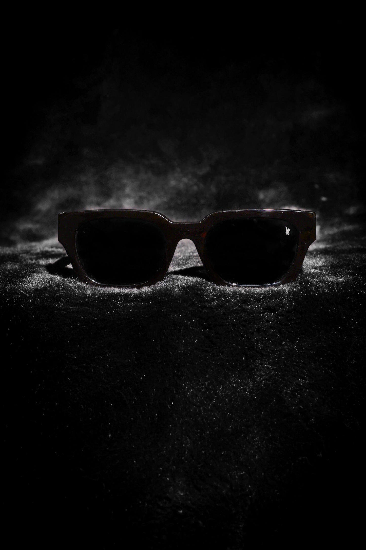 'HC' Tortoise Frame Sunglasses